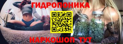 эйфоретик Анапа