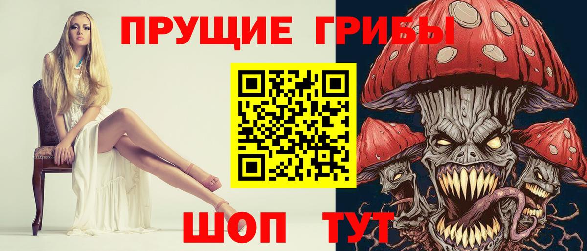 Галлюциногенные грибы GOLDEN TEACHER Лесной