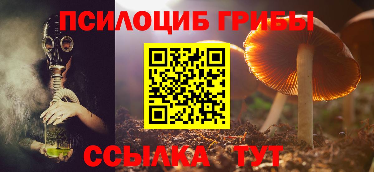 Лесной  Псилоцибиновые грибы Cubensis  Вход с VPN 